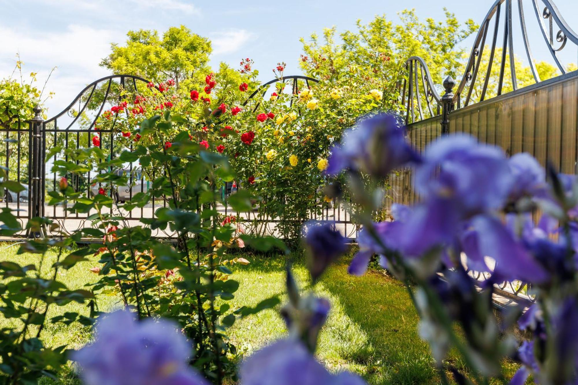 Vila Belvedere غالات المظهر الخارجي الصورة